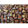 IQF frozen chestnut price per kg